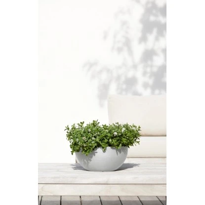 Ecopots Pflanztopf Brussels Weißgrau 30 Cm X 14 Cm – Bild 3