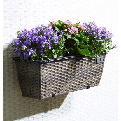 Gartenfreude Balkonkasten 50 Cm X 19 Cm Cappuccino Mit Bewässerungssystem – Bild 2