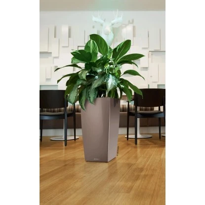 Lechuza Pflanzgefäß Cubico Premium 22 Cm X 22 Cm Espresso Metallic – Bild 3