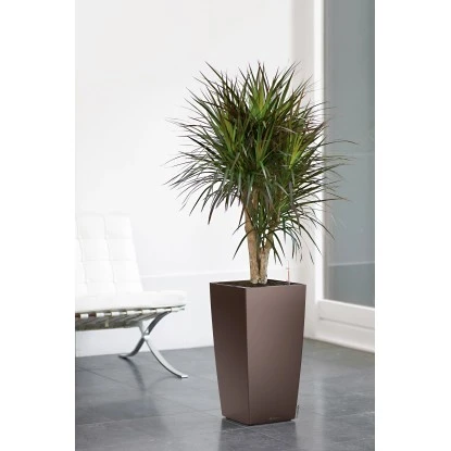 Lechuza Pflanzgefäß Cubico Premium 22 Cm X 22 Cm Espresso Metallic – Bild 4