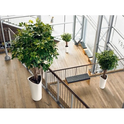 Lechuza Pflanzsäule Delta Premium 40 Cm X 40 Cm X 75 Cm Weiß Hochglanz – Bild 7