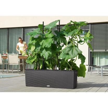 Lechuza Pflanzgefäß Trio Cottage 100 Cm X 32 Cm X 34 Cm Granit – Bild 5