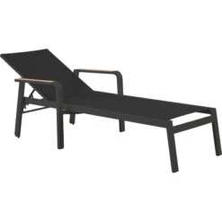 Sonnenliege Richmond Anthrazit/Teak