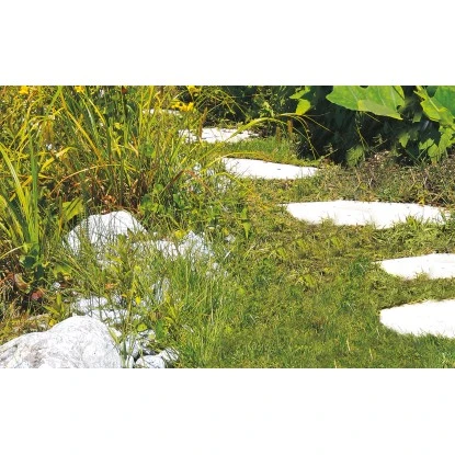 Einhell Akku-Gras- Und Strauchschere GC-CG 3,6 Li – Bild 7