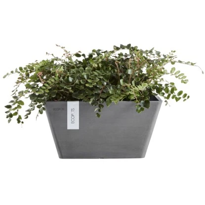 Ecopots Pflanzschale Berlin Grau 41 Cm – Bild 2