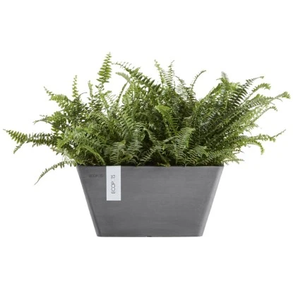 Ecopots Pflanzschale Berlin Grau 41 Cm – Bild 3