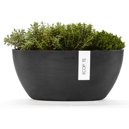 Ecopots Pflanztopf Sofia+WasBeh Dunkelgrau 30 Cm – Bild 3