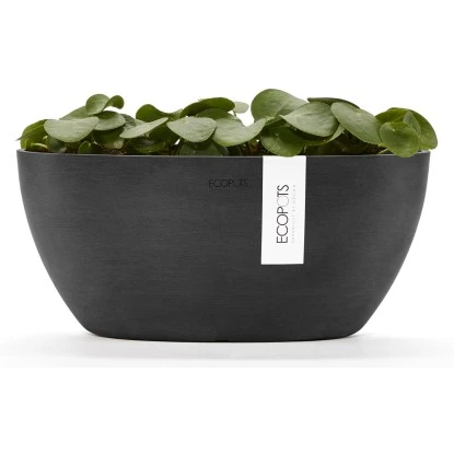 Ecopots Pflanztopf Sofia+WasBeh Dunkelgrau 30 Cm – Bild 4