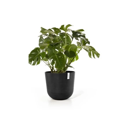 Ecopots Pflanztopf Oslo Dunkelgrau 55 Cm X 47,9 Cm – Bild 2