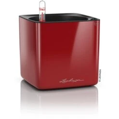 Lechuza Pflanzgefäß Cube Glossy 14 Scarlet Rot Highgloss 14 Cm X 14 Cm