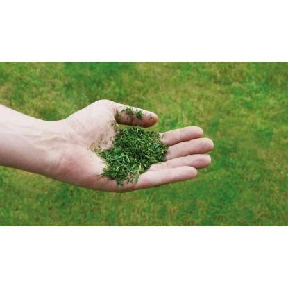 Einhell Benzin-Rasenmäher GC-PM 52/2 S HW – Bild 8