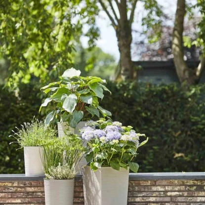 Siena Garden Pflanzgefäß Eco Locon Weiß Ø 25x46,5 Cm – Bild 6