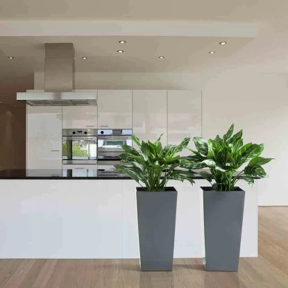 Siena Garden Pflanzgefäß Modern Lyon Anthrazit 35x35x68,0 Cm – Bild 6