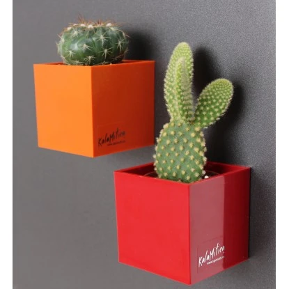 KalaMitica Kunststoffgefäß Mit Magnet Kasten 14 Cm X 7 Cm Glyzine – Bild 4