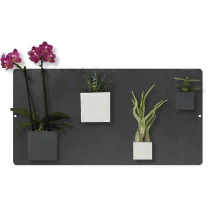 KalaMitica Kunststoffgefäß Mit Magnet Kasten 14 Cm X 7 Cm Glyzine – Bild 8